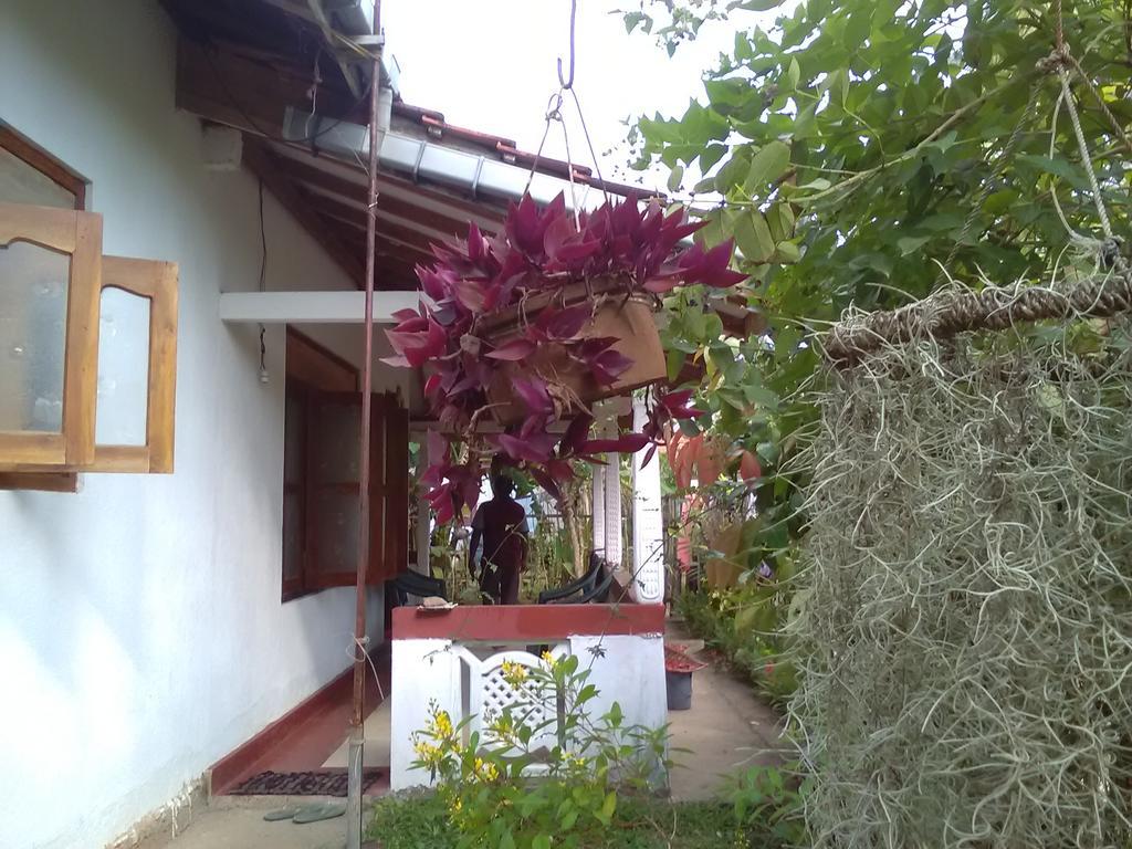 Gem Villa Weligama Exterior foto
